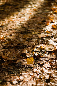Surface level of pebbles in water