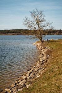 shore