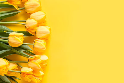 Close-up of yellow flower against orange background