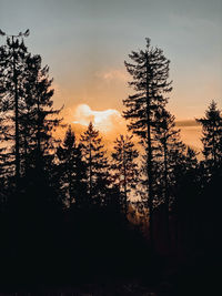Silhouette trees in forest against sky during sunset