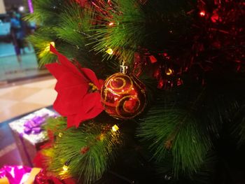 Close-up of christmas tree at night