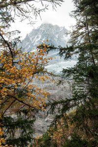 Scenic view of snowcapped mountains during autumn