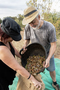 Male and female farmers harvesting almonds by hand.
