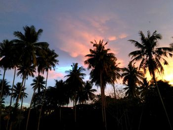 Low angle view of coconut palm trees against sky during sunset