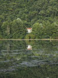 Scenic view of lake against trees