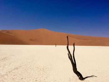 Scenic view of desert against clear sky