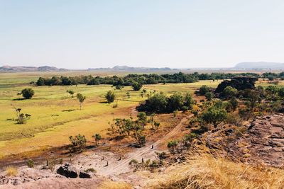 Scenic view of landscape against clear sky