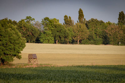 Trees on field against sky