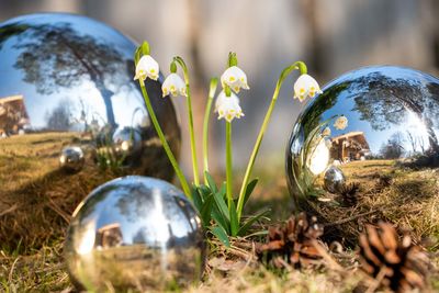 Close-up of crystal ball