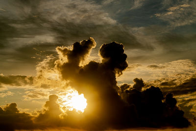 Low angle view of silhouette tree against sky during sunset