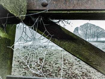 Close-up of broken spider web on bridge