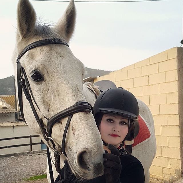 portrait, looking at camera, horse, front view, domestic animals, close-up, standing, sunglasses, young adult, outdoors, mammal, day, animal themes, bridle, person, livestock, sunlight, animal head