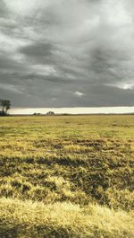 Scenic view of field against sky