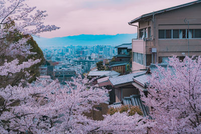 Kyoto in bloom