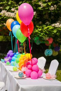 Close-up of multi colored balloons on plant