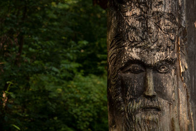 Close-up of statue against tree trunk in forest