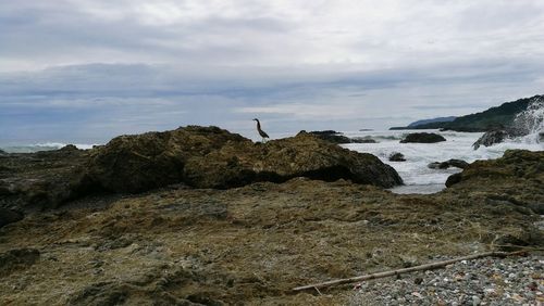 Man standing on rock by landscape against sky