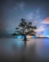 Scenic view of lake against sky at night