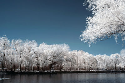Infrared photography the summer palace, beijing, china