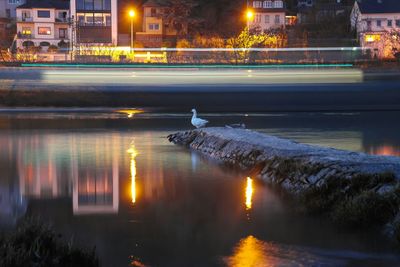 Illuminated fountain at night