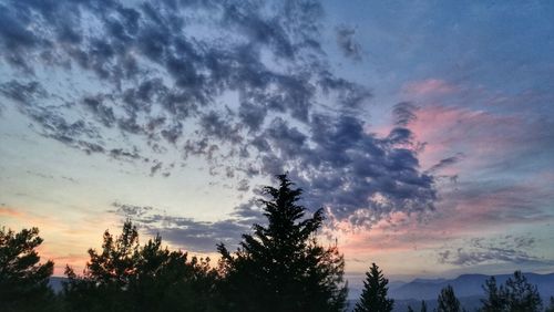 Low angle view of silhouette trees against sky during sunset