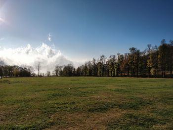 Trees on field against sky