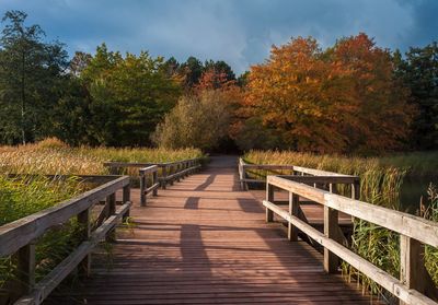 Pier over lake in forest during autumn