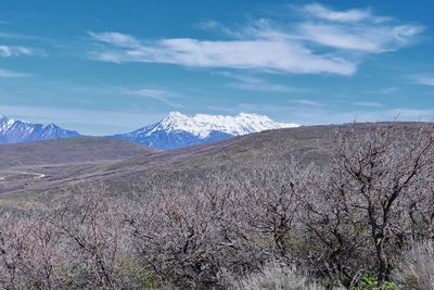 Hiking trails in oquirrh, wasatch, rocky mountains utah yellow fork and rose canyon salt lake city.