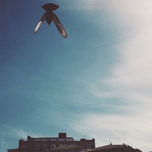 Low angle view of bird flying in sky