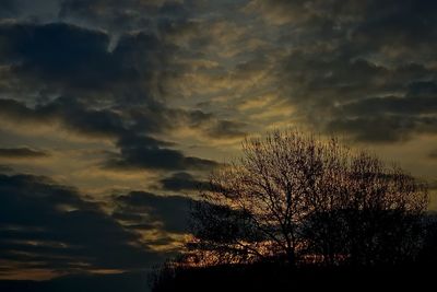 Low angle view of trees against cloudy sky