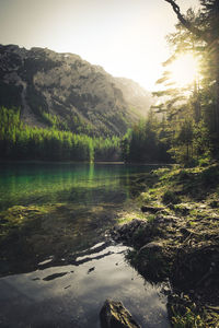 Scenic view of lake in forest against sky