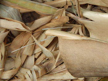 Full frame shot of firewood