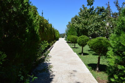 Walkway amidst trees against clear sky