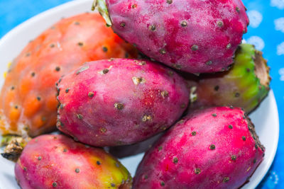 High angle view of fruits in container