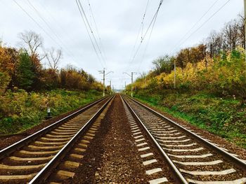 Railroad tracks amidst trees against sky