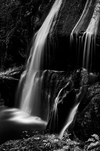 View of waterfall in forest