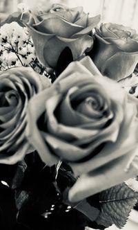 Close-up of rose bouquet