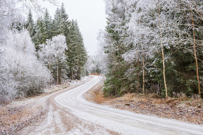 Road amidst trees in forest during winter