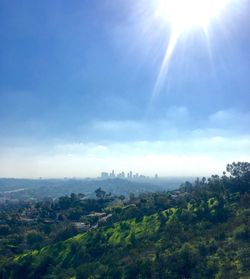 Trees and cityscape against sky
