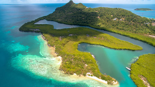 Scenic view of beach