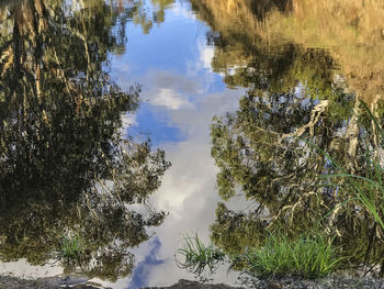 Reflection of trees in water against sky