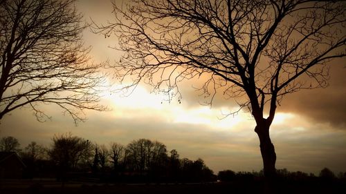 Low angle view of silhouette bare trees against sky