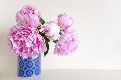 Close-up of pink flower vase against white background