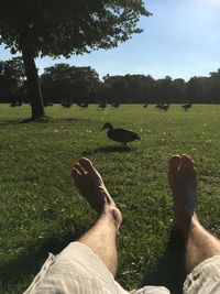 Low section of man relaxing on field against sky