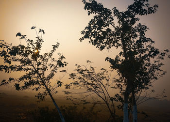 Low angle view of silhouette trees against sky during sunset