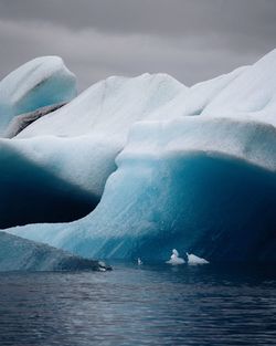 Iceberg in sea during winter