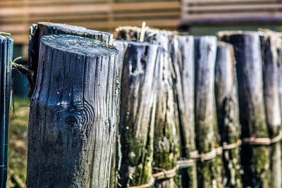 Close-up of wooden post