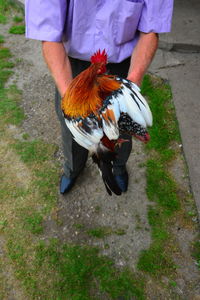 High angle view of man feeding bird