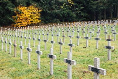 View of cross in cemetery. view of cross in military cemetery. memorial of world war 