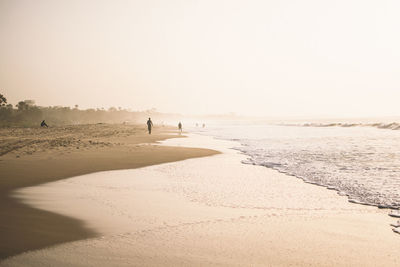 People on beach against clear sky